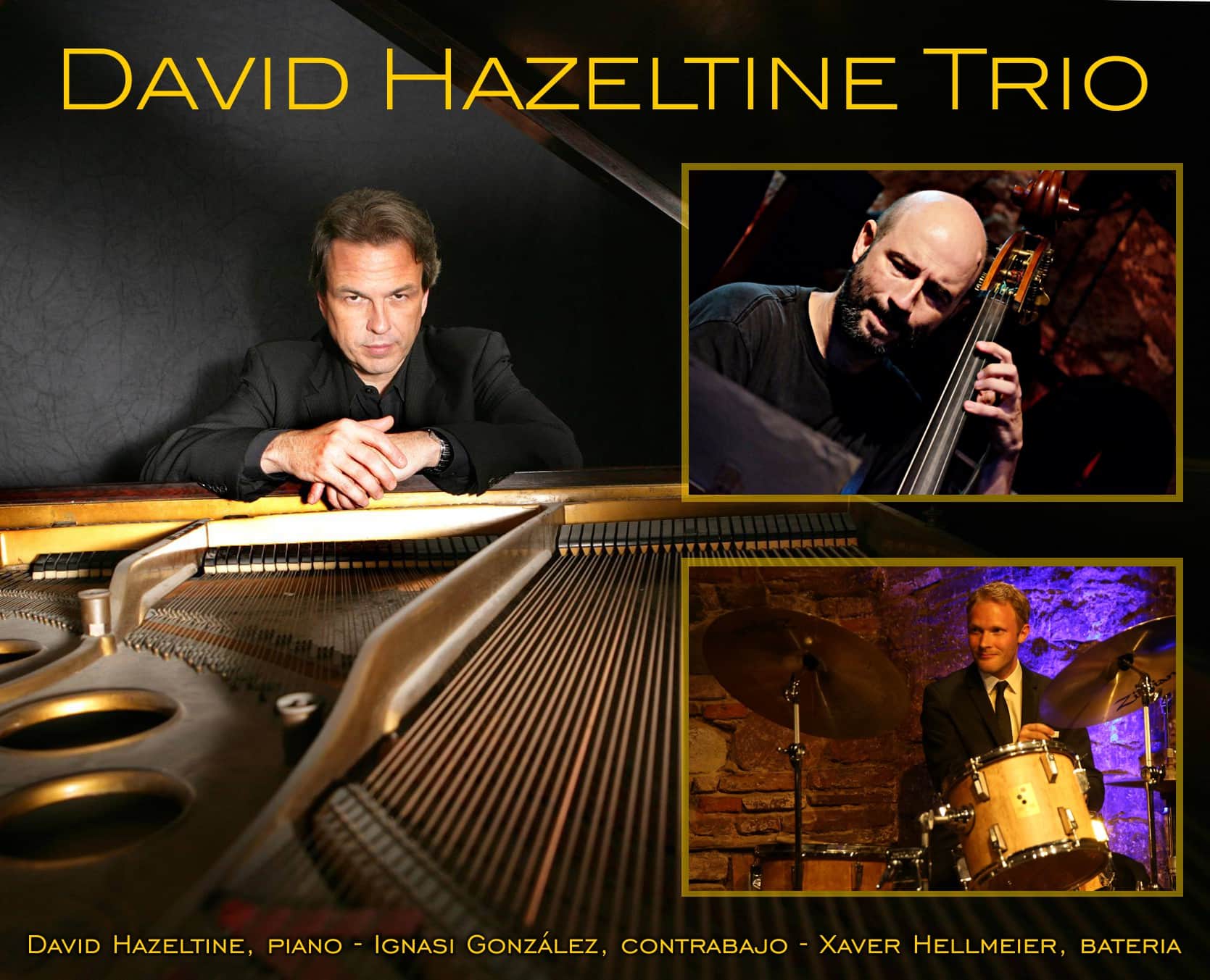 David Hazeltine Trio