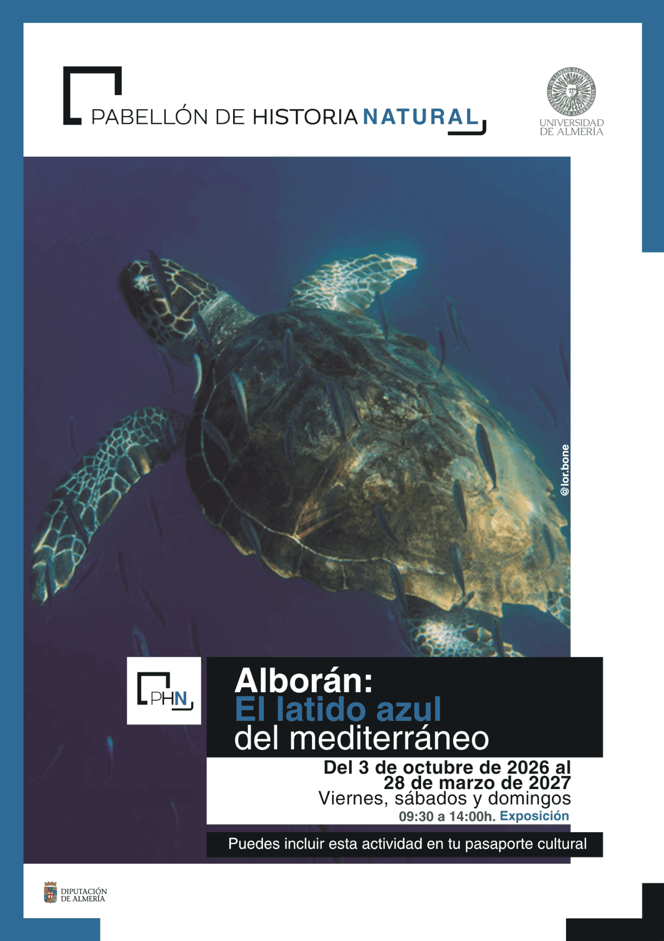 Alborán: El latido azul del Mediterráneo